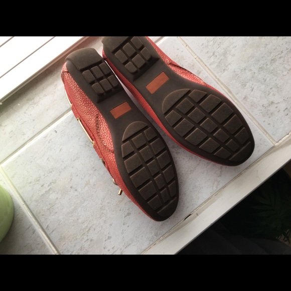 Shows - Picture 5 of 8